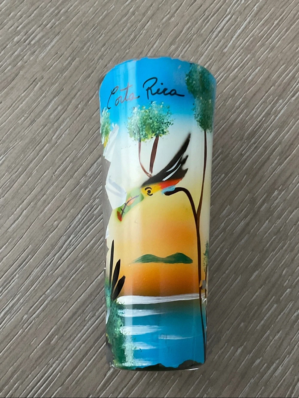 Costa Rica shot drink Painted Tropical Bird souvenir- Blue/Yellow